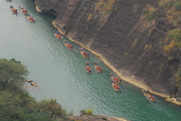 石蒜科花卉有哪些种类（常见石蒜科植物大全）