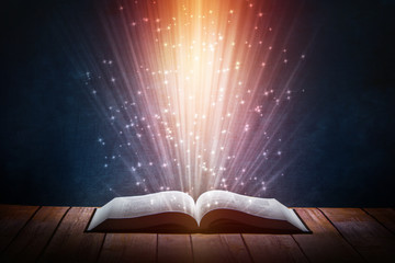 鲁滨逊漂流记主要内容20字左右