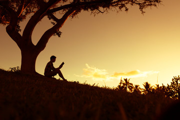 鲁滨逊漂流记主要内容20字左右