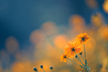 富有年味的数学手抄报内容