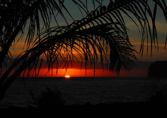 鲁滨逊漂流记主要内容20字左右