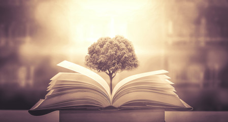 如何为一首歌创作独特的歌词