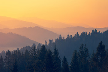 最伟大的物理学家前二十名