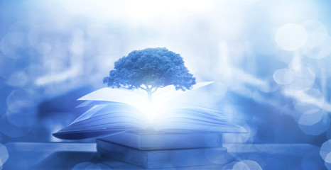 考研的要求有哪些