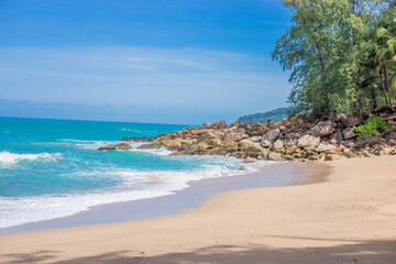 石蒜科花卉有哪些种类（常见石蒜科植物大全）
