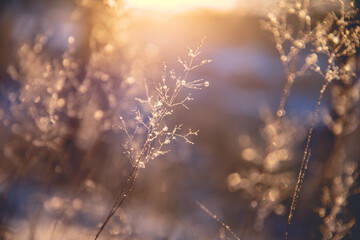 日常生活中如何利用好金融杠杆_1