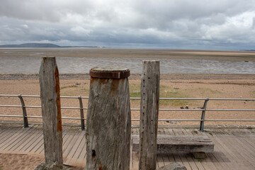 二级保护动物有哪些鱼