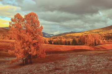 鲁滨逊漂流记主要内容20字左右