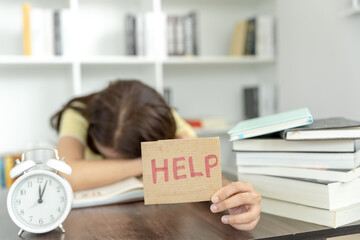 简述园林树木配植的原则和配植的方式