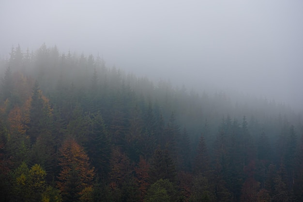 天地有情的剧集评价