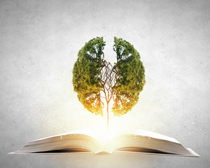 富有年味的数学手抄报内容