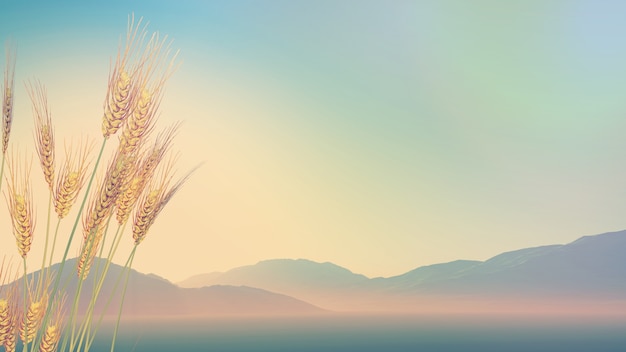 王者荣耀法术穿透作用是什么？