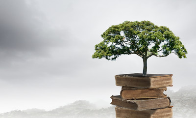 阳江哪里有电子厂