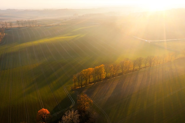 最伟大的物理学家前二十名