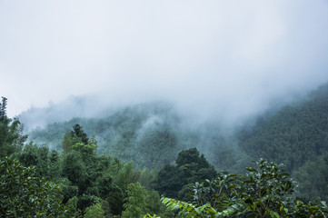 《十万个为什么》读书笔记。